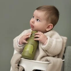 Trixie Mr. Dino Bottle 350ml Green -Diverse Tassen image 16257