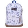 JanSport Right Pack Lost Sasquatch -Diverse Tassen image 3296