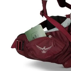 Osprey Aura AG LT 65 WM/L Antidote Purple 33 Osprey Aura AG LT 65 WM/L Antidote Purple -Diverse Tassen image 3568