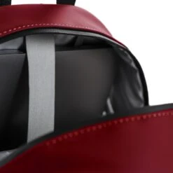 Daniel Ray Montgomery Waterafstotende Rugtas Red -Diverse Tassen image 3701