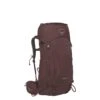 Osprey Kyte 38 WXS/S Elderberry Purple 1 Osprey Kyte 38 WXS/S Elderberry Purple -Diverse Tassen image 4164