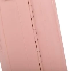 Decent Axiss-Fix 4 Wiel Cabin Trolley 55 Licht Roze 19 Decent Axiss-Fix 4 Wiel Cabin Trolley 55 Licht Roze -Diverse Tassen image 7846